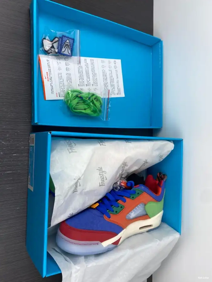 Reps TB Low 5 Doernbecher Jordan Air DR6287-486 0514